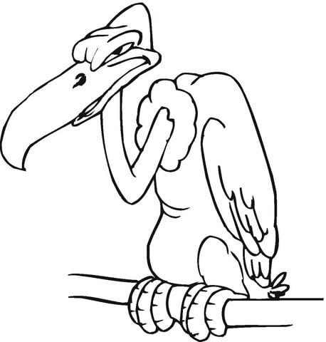 Buzzard  Coloring Page